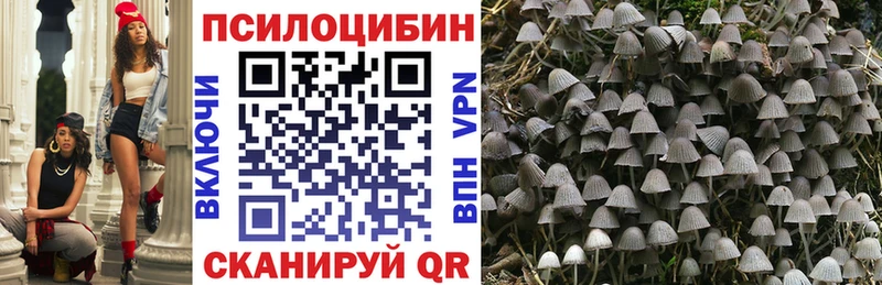Псилоцибиновые грибы MAGIC MUSHROOMS  Энем 